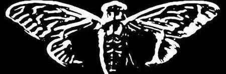n31thann's profile banner image