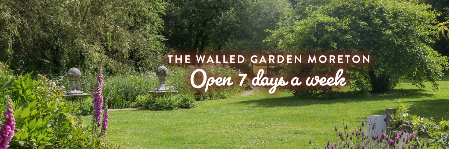 walledgardenmo's profile banner image