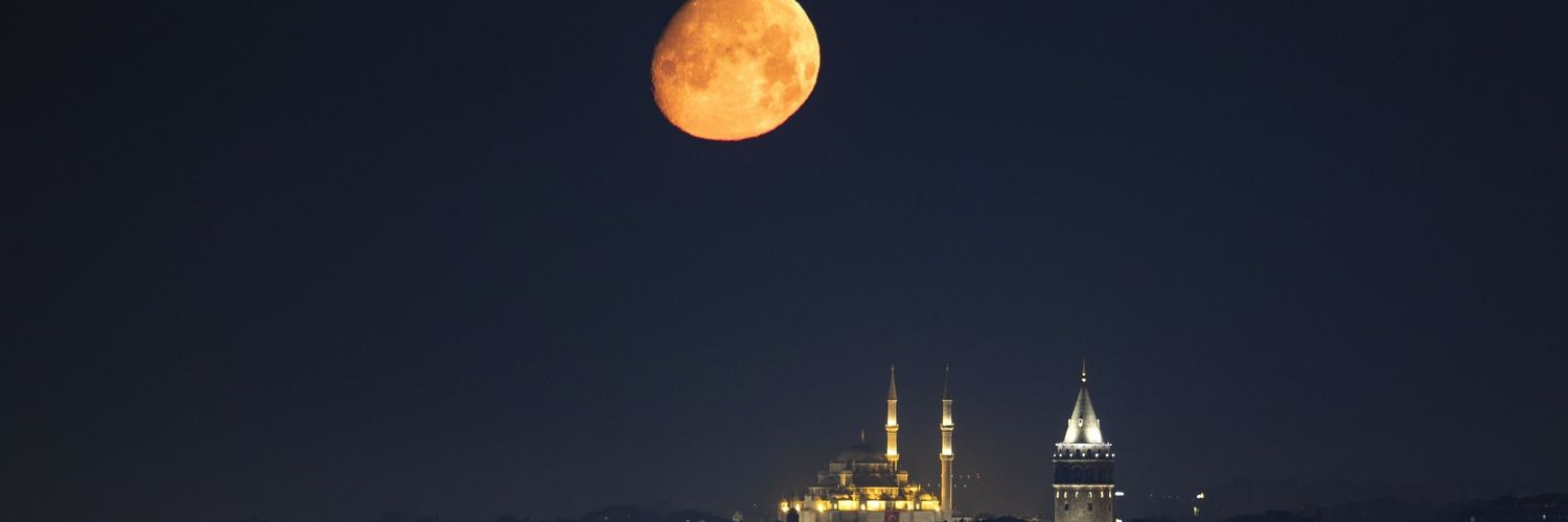 mstf4341's profile banner image