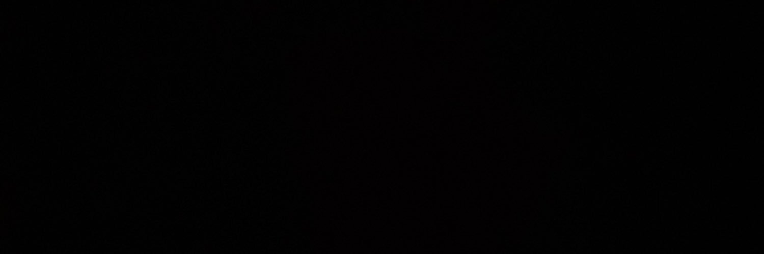 Sion banner