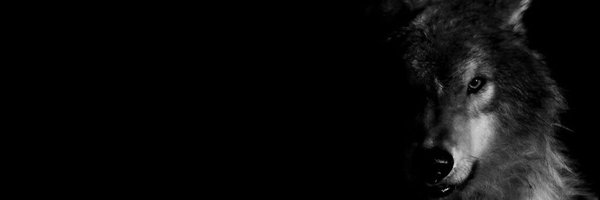 aisha_abdallah_'s profile banner image