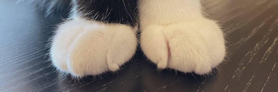Sirobe_'s profile banner image