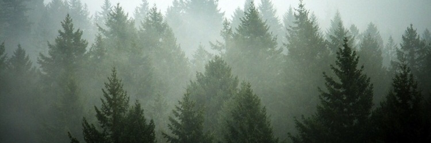 samgourley1's profile banner image