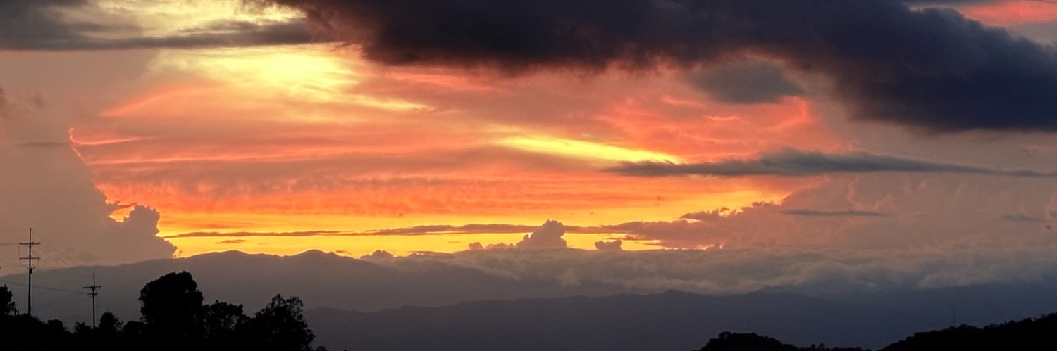 Paula Vega banner