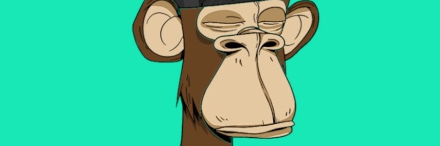 Aydın Akyüz banner