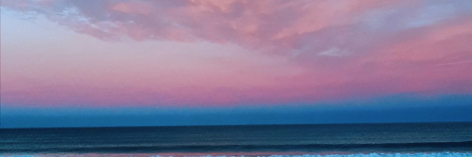 CotiPalindra's profile banner image