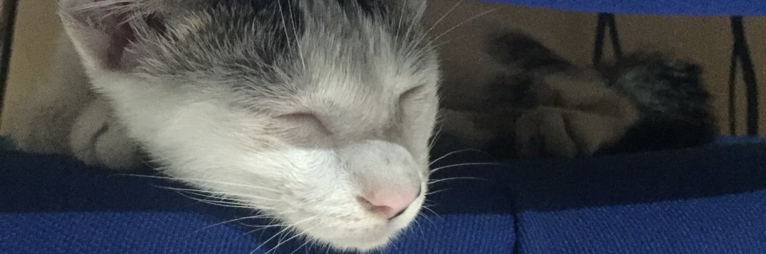 sunnflowerseed's profile banner image