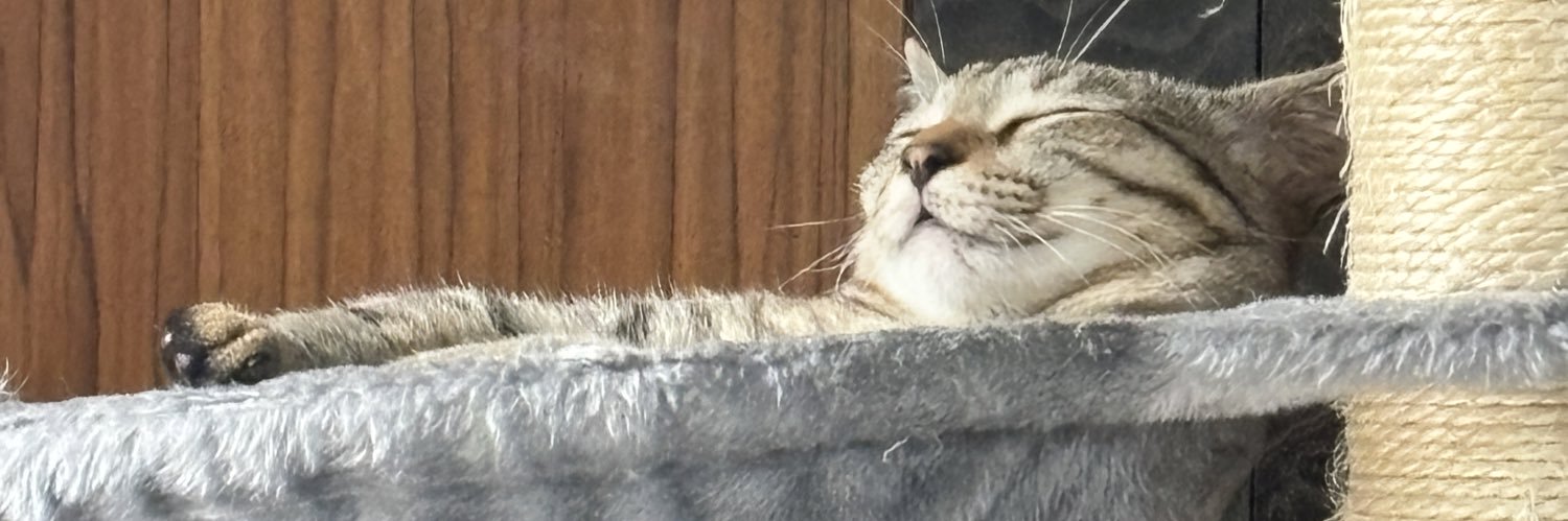 おとなりのねこ🍊 banner