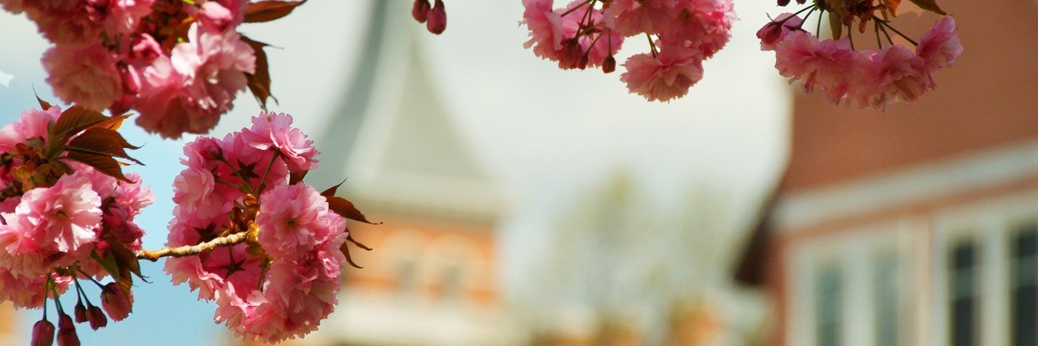 SheppardPratt's profile banner image