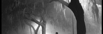 Nooc881's profile banner image
