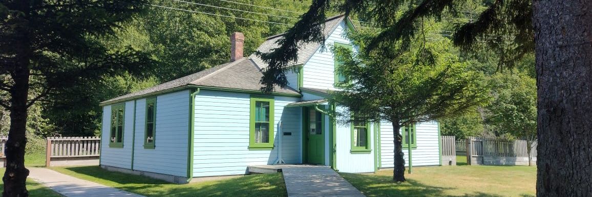 Cynthia Stephen banner