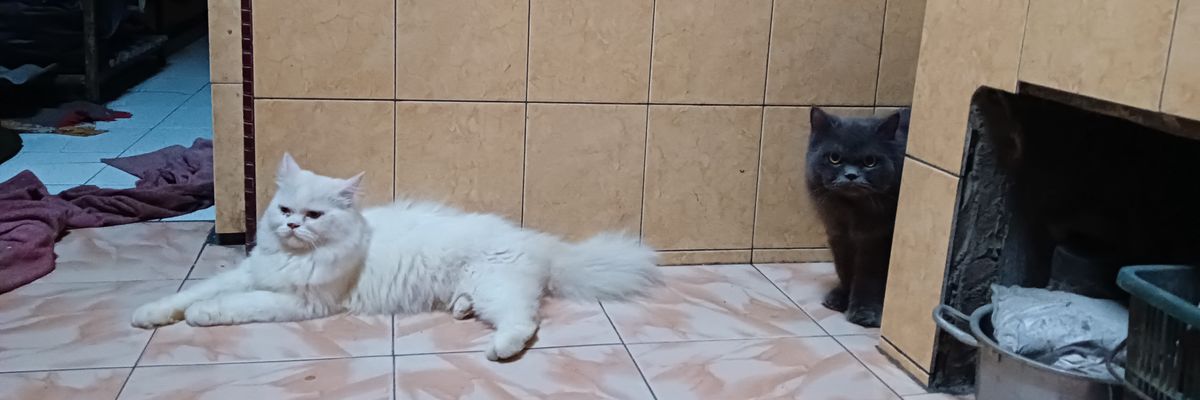 FannyAmandaaa's profile banner image