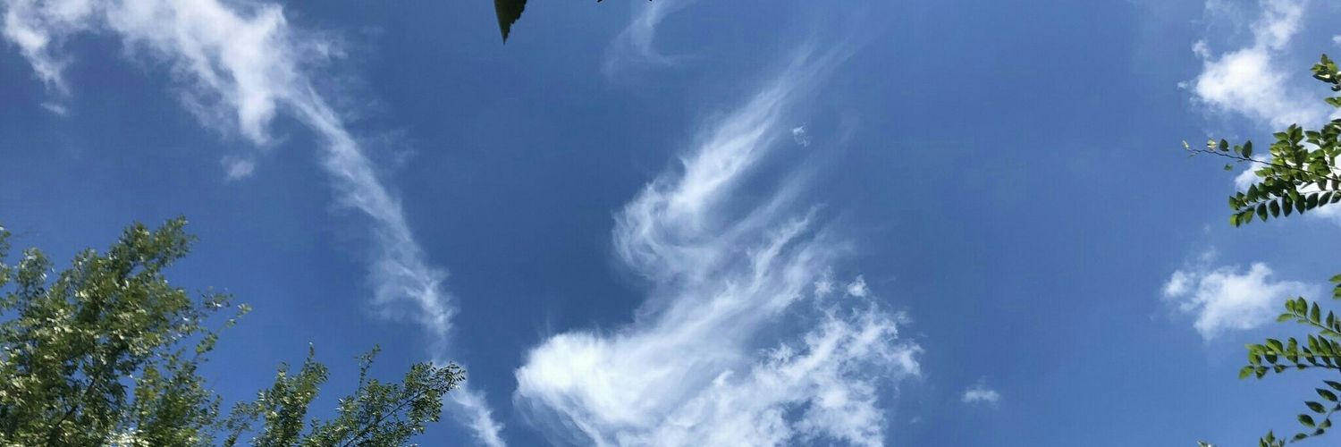 choux_twt's profile banner image