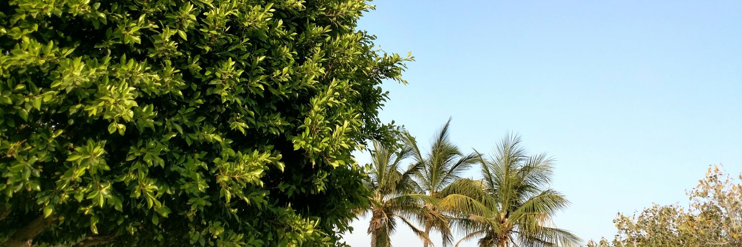 LeePicts's profile banner image