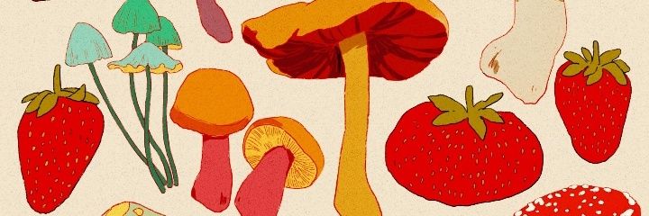 isab_bertini's profile banner image