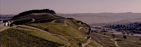 fred_shu's profile banner image