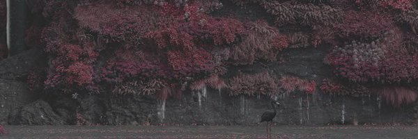 Sleep_Token Profile Banner