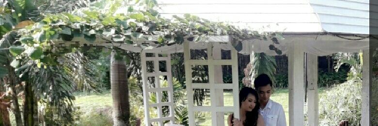 gracelynnnt's profile banner image