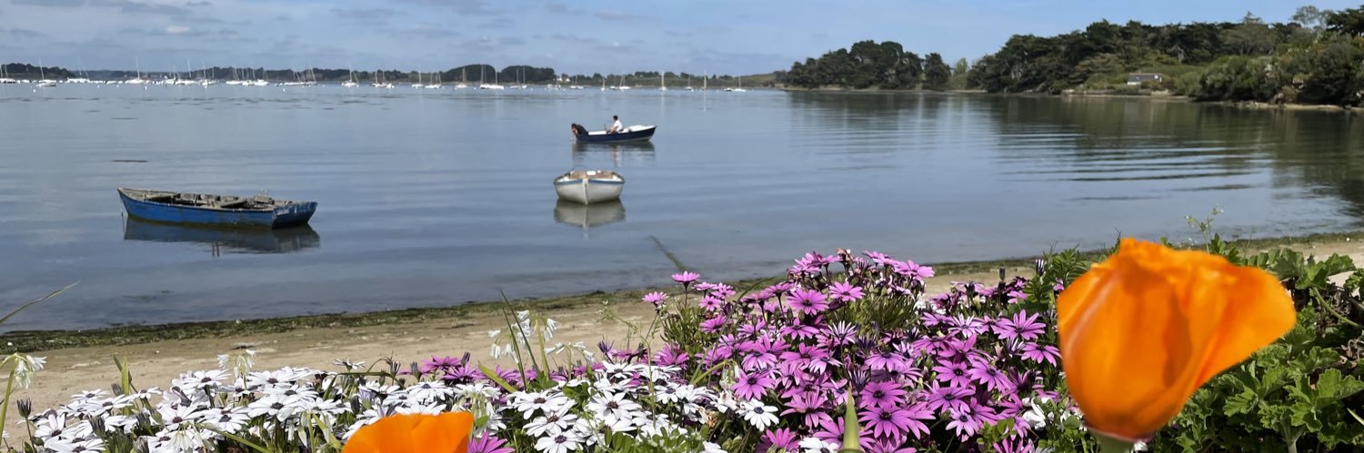 Mickael Chaillou banner