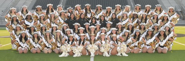 MPHSTigerDolls Profile Banner