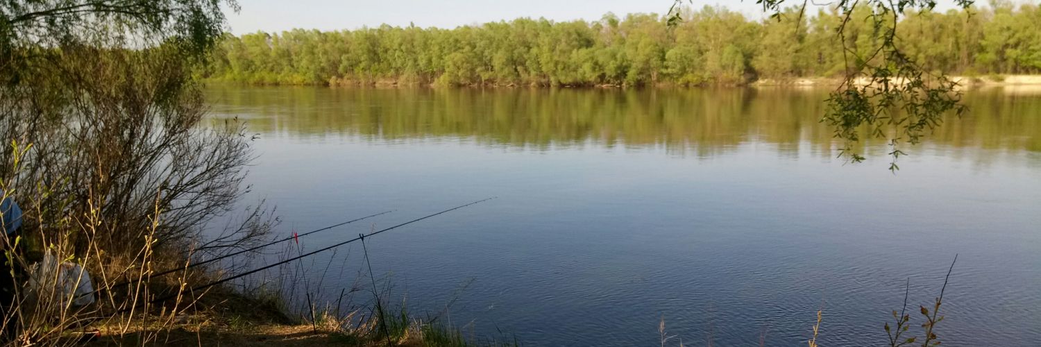 Oleksii "Regressor23" Marek banner