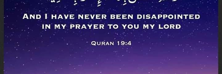 Gulled ALi banner