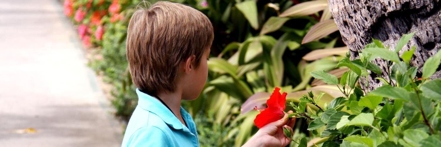 aloha_style's profile banner image