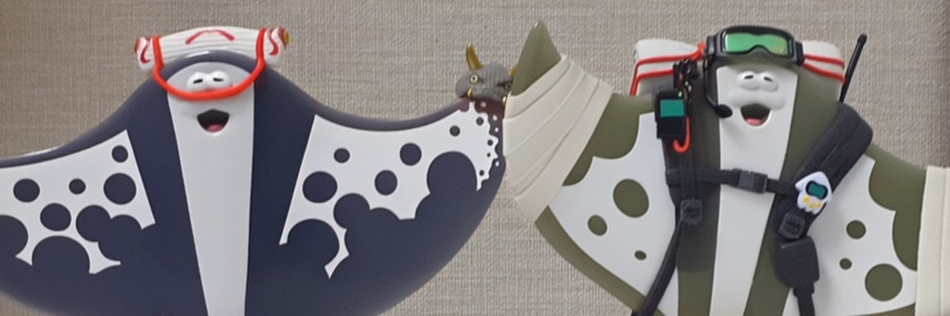 O_batoidea's profile banner image