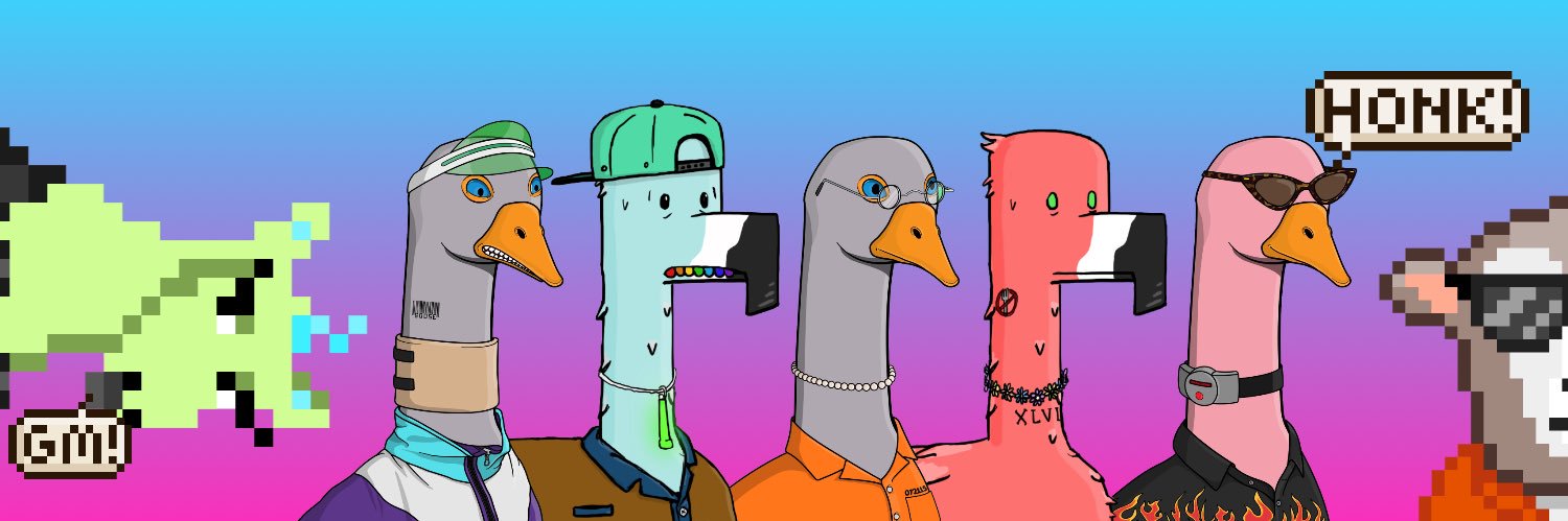algo_mo's profile banner image