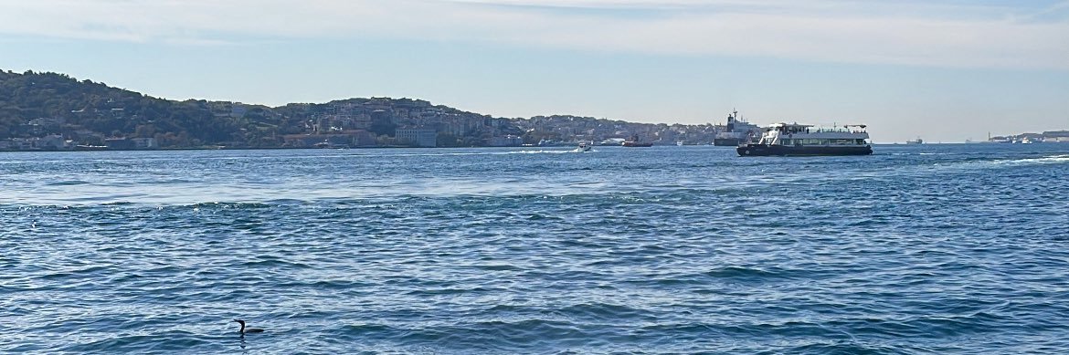 Matroukka's profile banner image