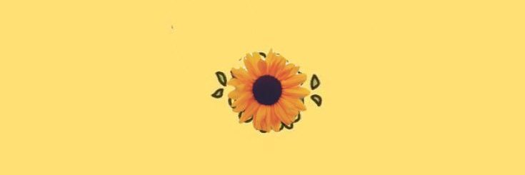 Laridaays's profile banner image