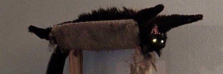 _StrugglePuff_'s profile banner image