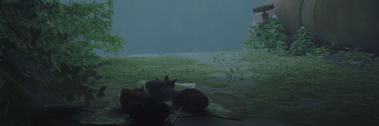 Cxrbon banner