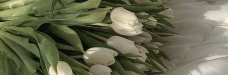 danielasdrm's profile banner image