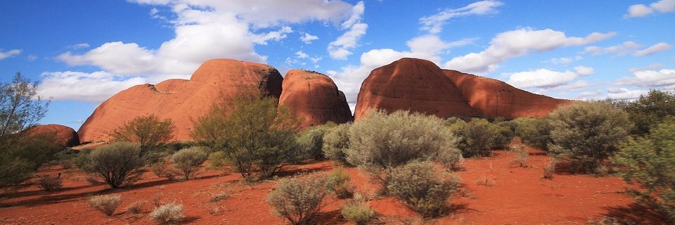 Emelius Wildsight 🐻 banner