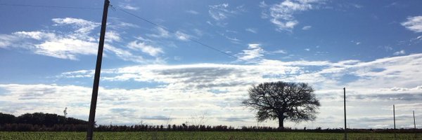 Paramahansa2 Profile Banner