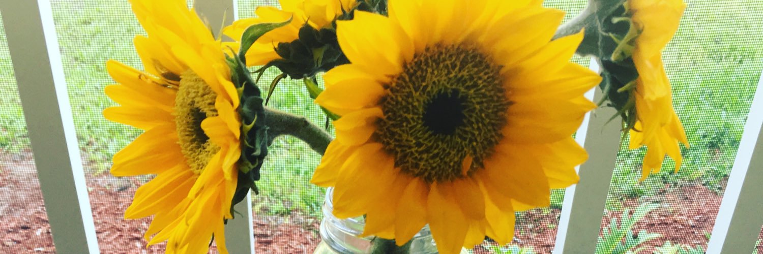 KrystalClearBlogs banner