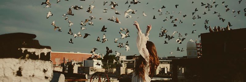 ebts_20's profile banner image
