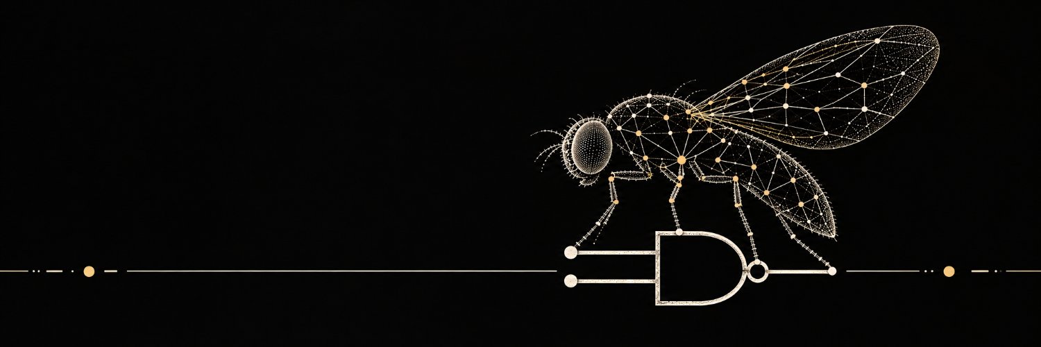 BNBNANDfly's profile banner image