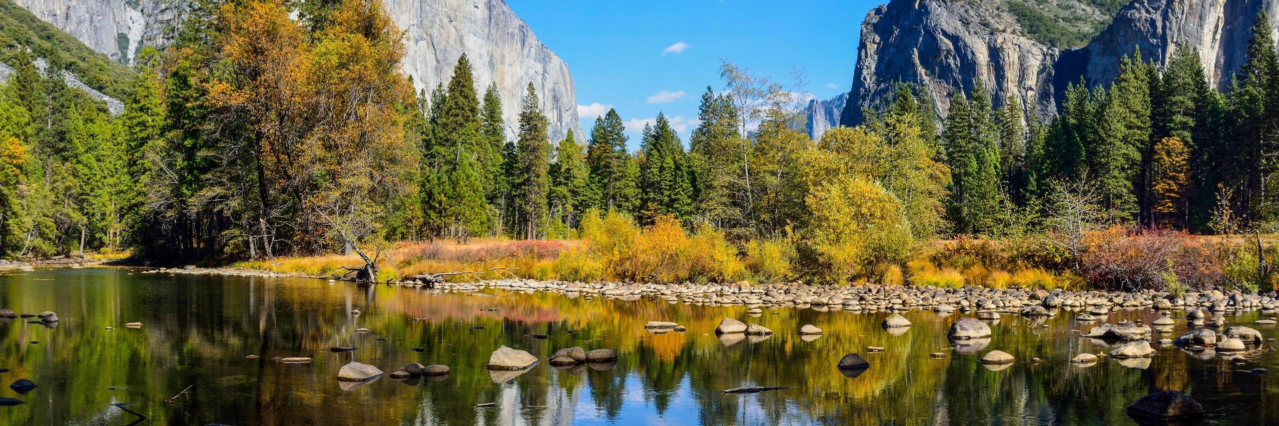 Ferdinand Arman banner