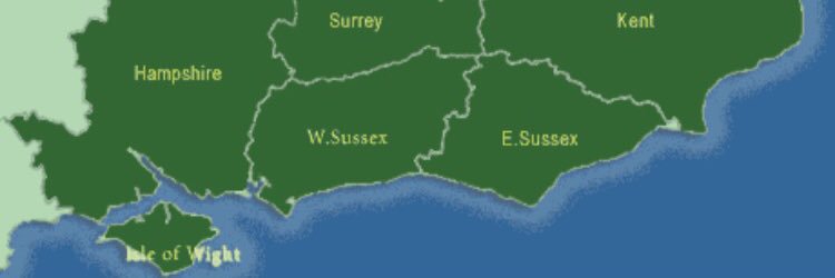 South East BMA's banner