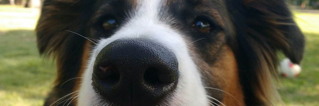 CaamiGamboa's profile banner image