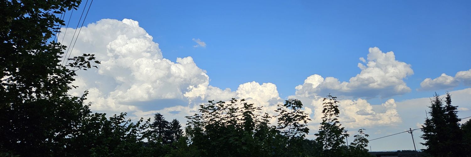 just_hoffi's profile banner image