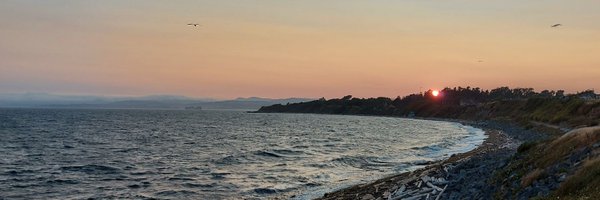 z_belchev Profile Banner