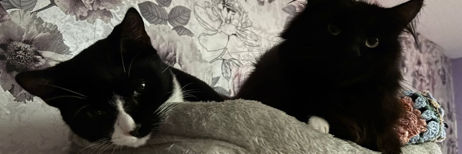 LadyVenus36's profile banner image