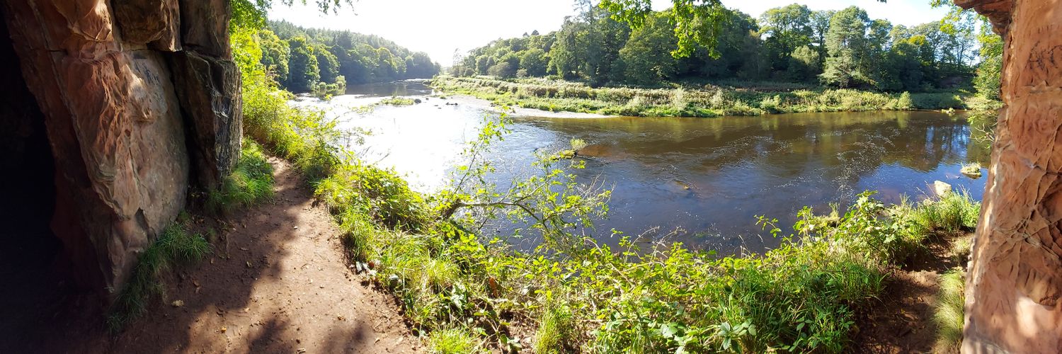 Cameron Brown banner