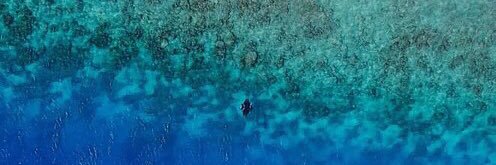 skipper_bassam's profile banner image