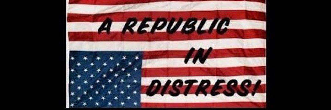 Linda Hale 🇺🇸⭐🇺🇸 Never Give Up's banner