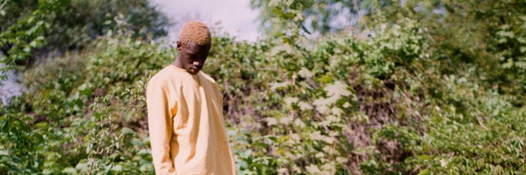 Young Cisto banner