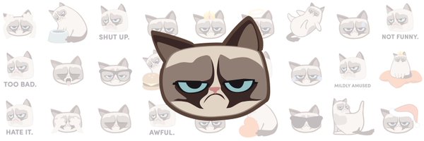 Grumpy Cat Profile Banner